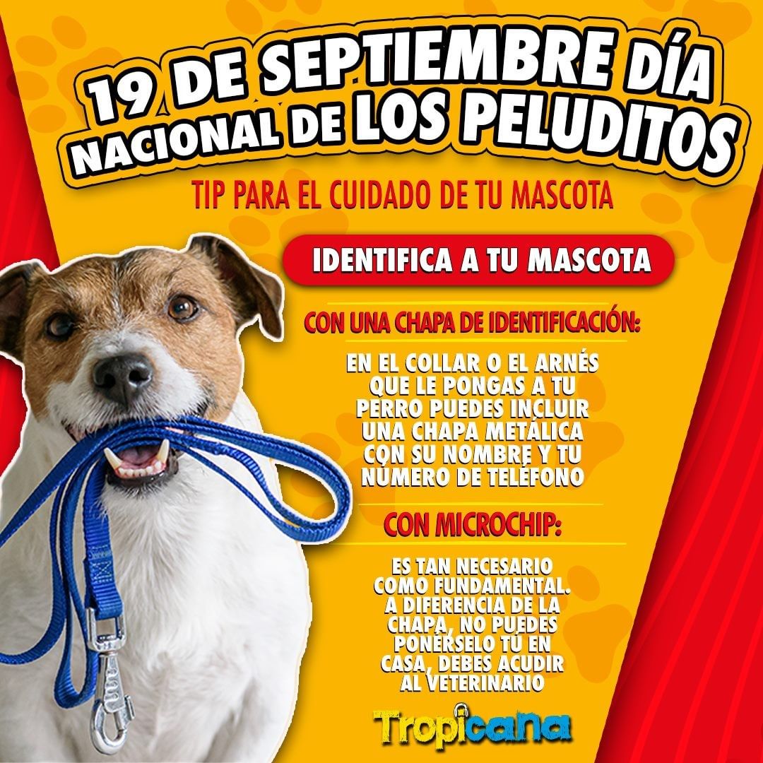 🐶🐱 #PeluditosEnTropicana 🐾🐾🐾🐕🐈 #tipsdebelleza  para cuidar nuestros peluditos 👇👇👇