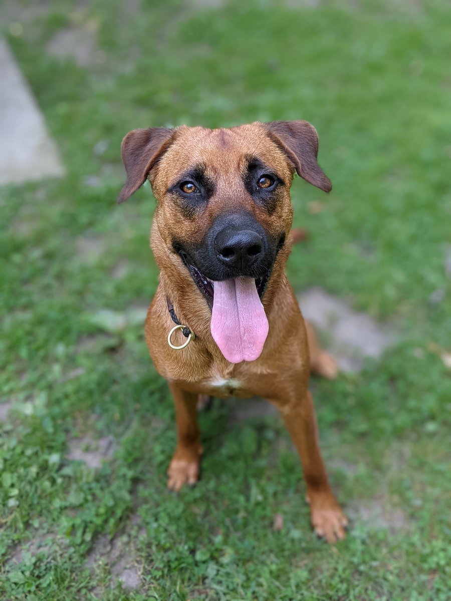 Rojo Cuttsanoff tweet media