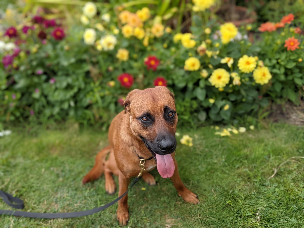 Rojo Cuttsanoff tweet media