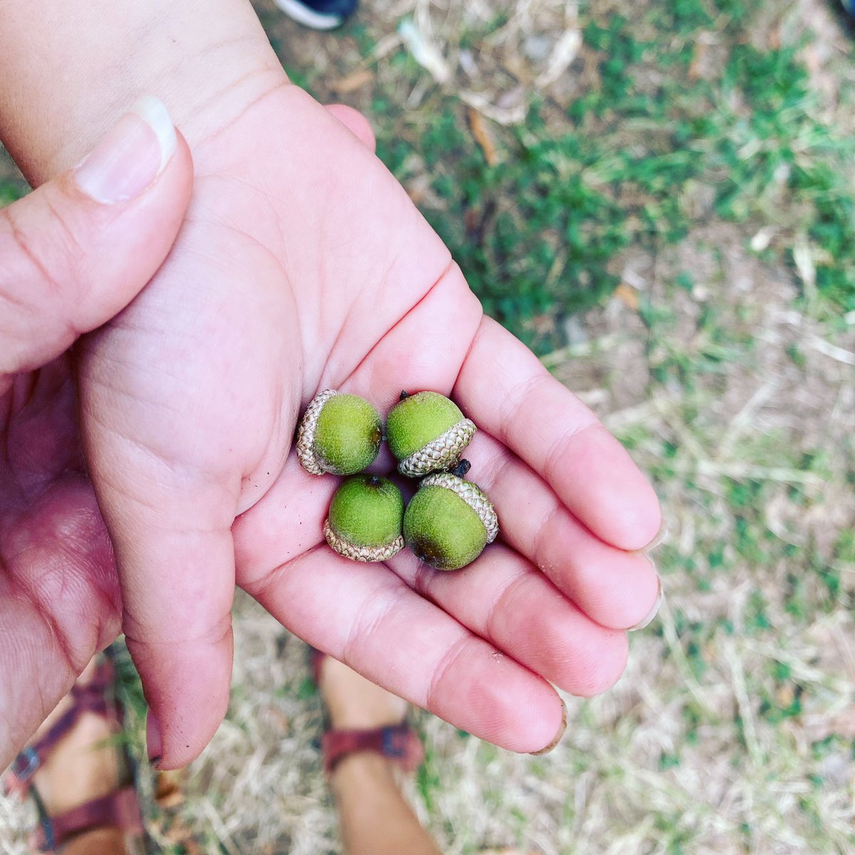 Anna's Class tweet media