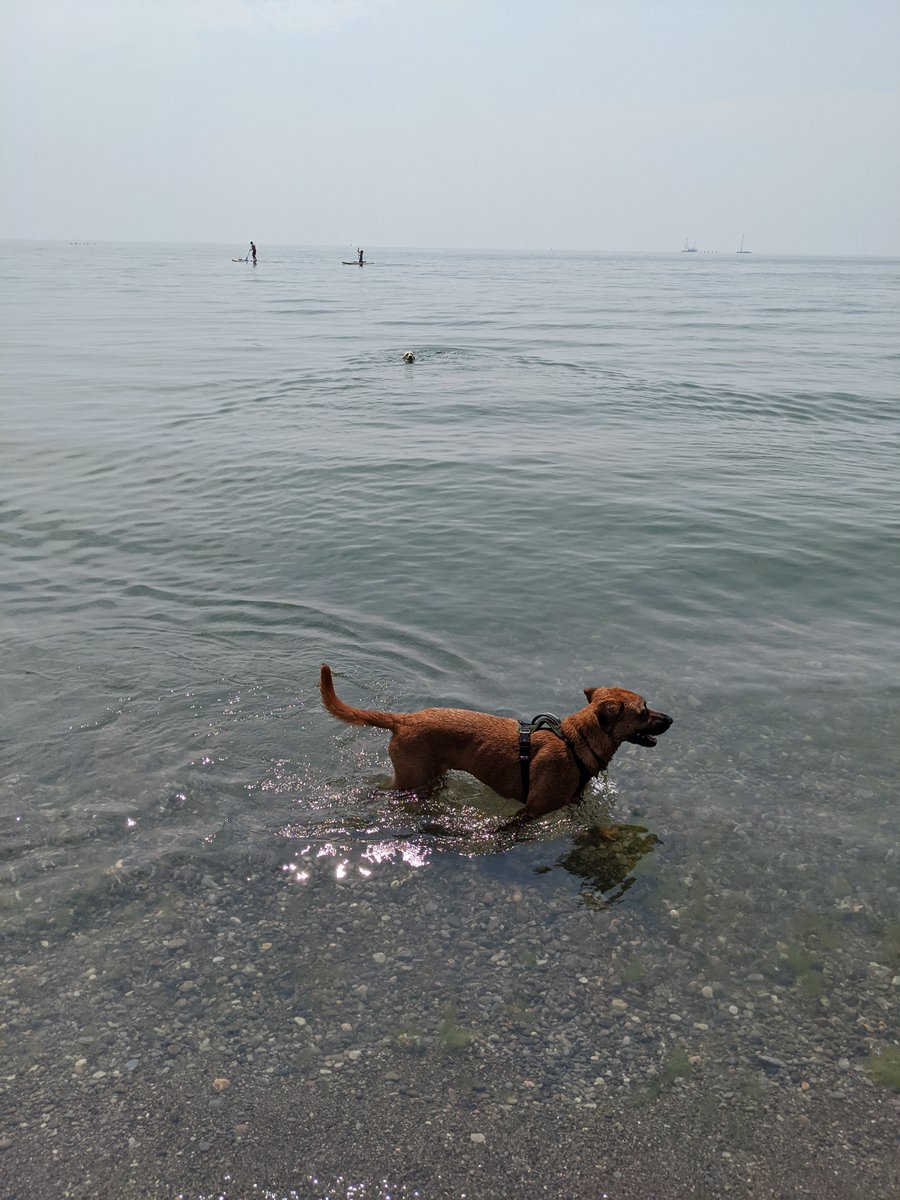 Rojo Cuttsanoff tweet media