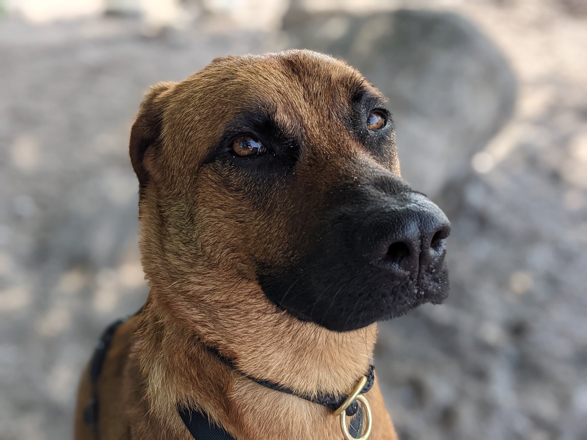 Rojo Cuttsanoff tweet media