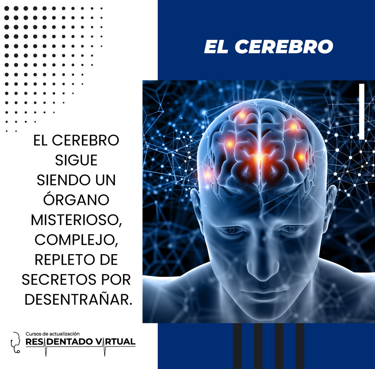 ResidentadoV's tweet photo. El cerebro se va transformando continuamente, es un órgano flexible y que va adaptándose; cada experiencia que tenemos va a hacer que nuestro cerebro cambie. 🧠💖
.
.
.
#ResidentadoVirtual #Congresomedico #Charlamedica #Residentadomedico #medicina #estudiantemedico https://t.co/mPy31phj6D