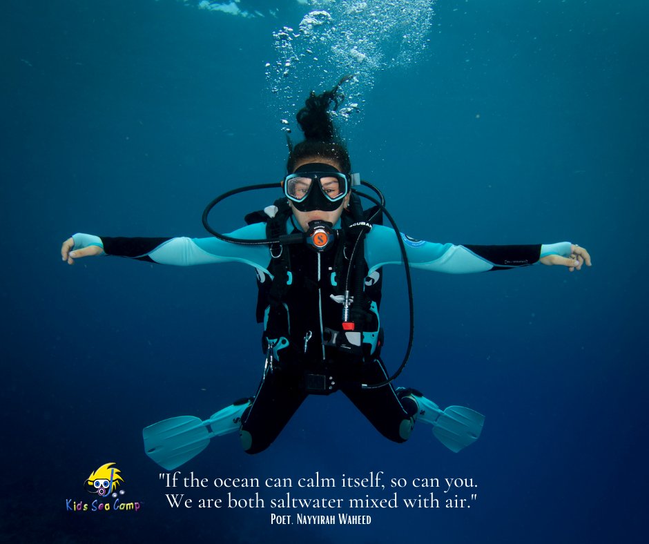 tpeyton's tweet image. It's time to get back into the ocean