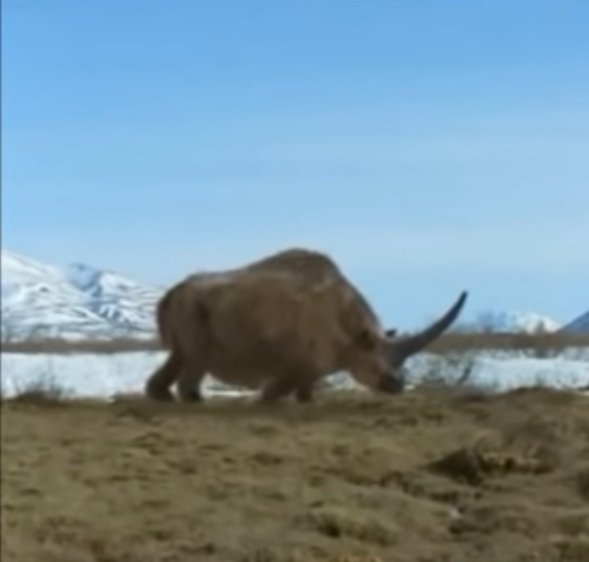 ArifHus18238070's tweet image. news96online.com/2021/09/the-gi…

#sciencefactsamazing 
#ScienceComm21 
#sciencefiction 
#science
#ScienceWorkingLife