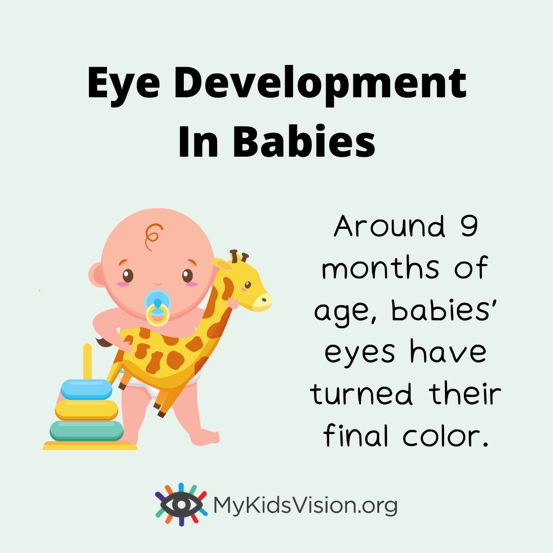 mykidsvision's tweet image. A baby's eye color can continue changing in the first few months of life. At 9 months of age, babies finally get the eye color they'll keep for life. 👁️
#baby #visiondevelopment #vision #eyes #eyecolor