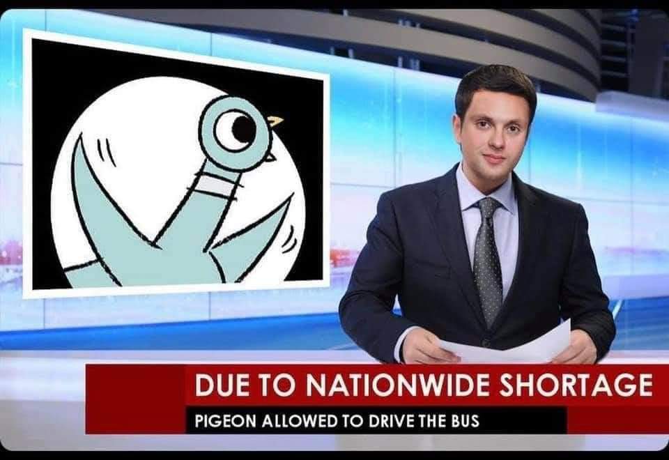 To all my elementary coworkers. Happy Friday eve. 🤣 #mrssteigerwaldteaches #pigeonfinallydrivesthebus