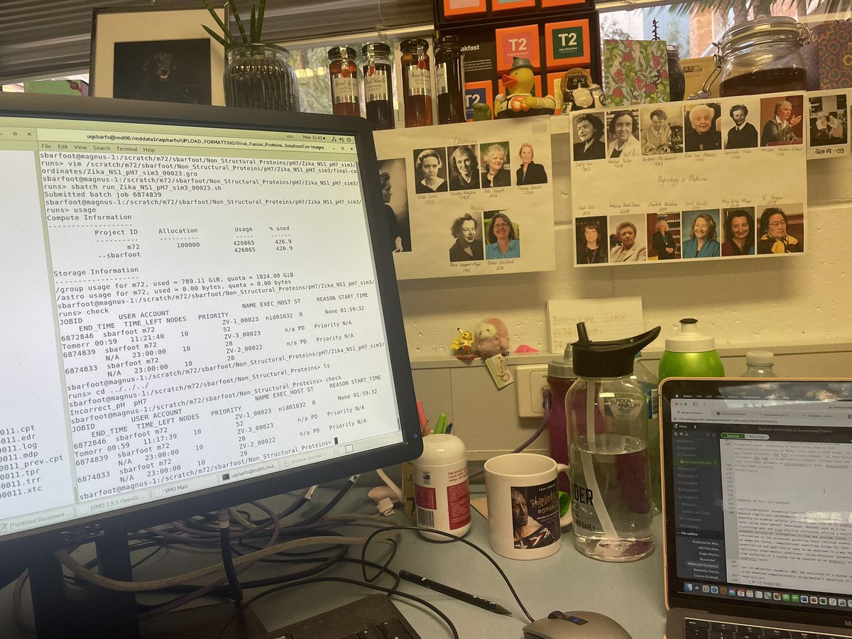 tiny_science_sb's tweet photo. Prompt 7 for #SciCommSeptember - your desk!
At work I have a lot of nicknacks but my favourite feature is the collection of inspiring #WomeninSTEM that watch over my, made by the fabulous @SarahKuschert ❤️ Also featured here is Cognac, always assisting when I’m #workingfromhome https://t.co/PDgbkQESFo