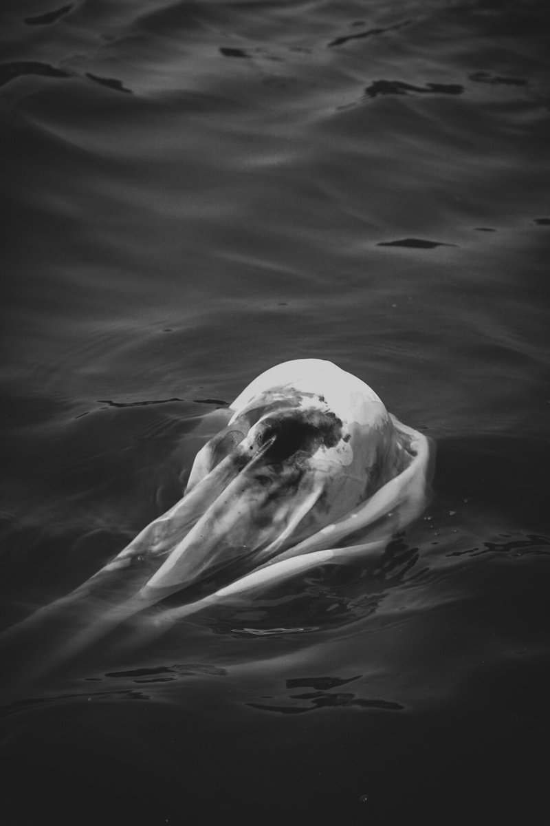 photos I’ve taken that mean a lot to me