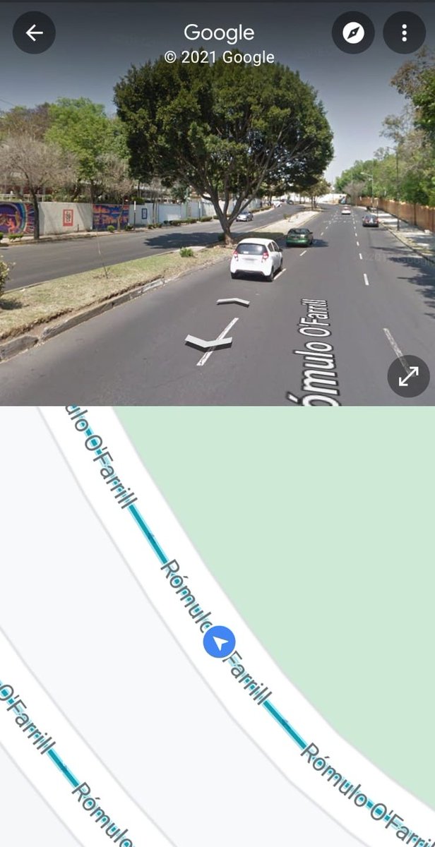 SmoothHelen's tweet photo. Este es el árbol que talaron. Foto de Google Maps @lialimon @SEDEMA_CDMX @ElBigDataMx https://t.co/n0bZhnI1VG