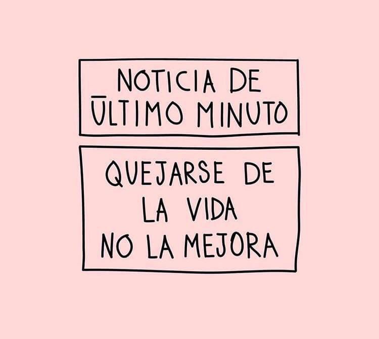 samcarrion18_R's tweet photo. Copiado ☝🏽 #PLOMO19 https://t.co/Nwoj6fkoMA