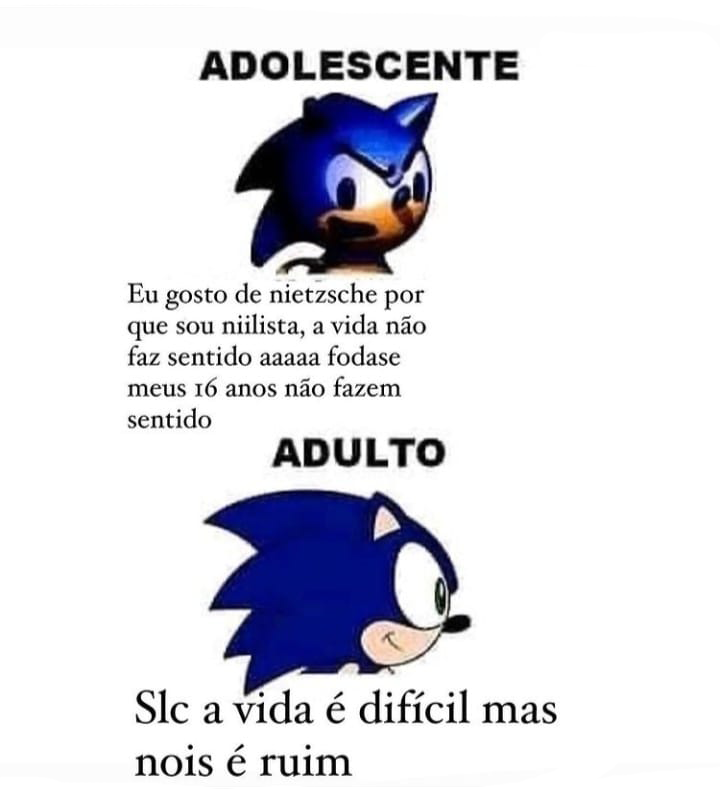 NESSE PERFIL ODIAMOS SONIC BONITO - iFunny Brazil