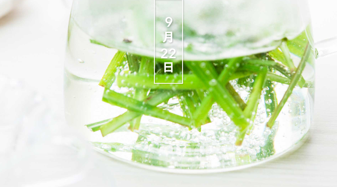 暦生活 こよみせいかつ レモングラス 花の日めくり 花言葉 爽快 草丈は1 5ｍ 細長い葉は1ｍにもなります レモンと同じ成分を含み 爽やかな酸味があります タイ料理のトムヤムクンやティーなどに利用されるハーブです 暦生活 T Co