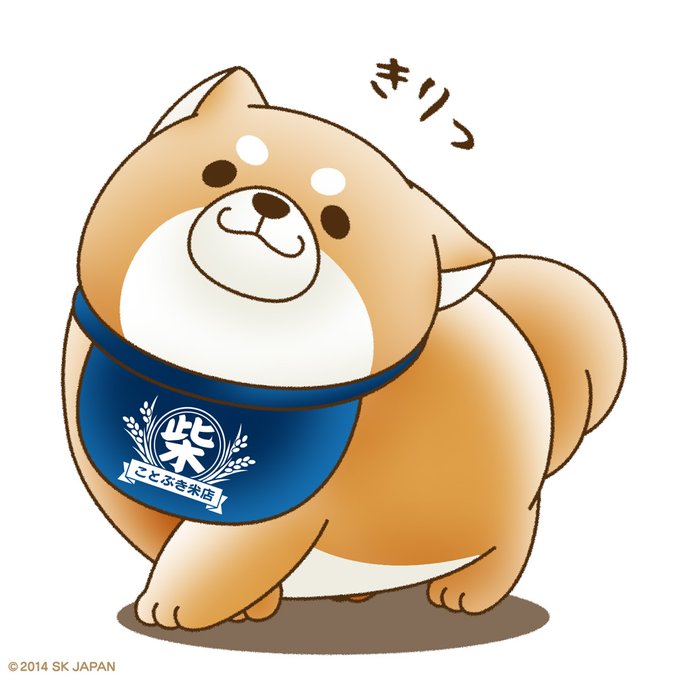 柴犬あるあるのtwitterイラスト検索結果 柴犬あるあるのtwitterイラスト検索結果