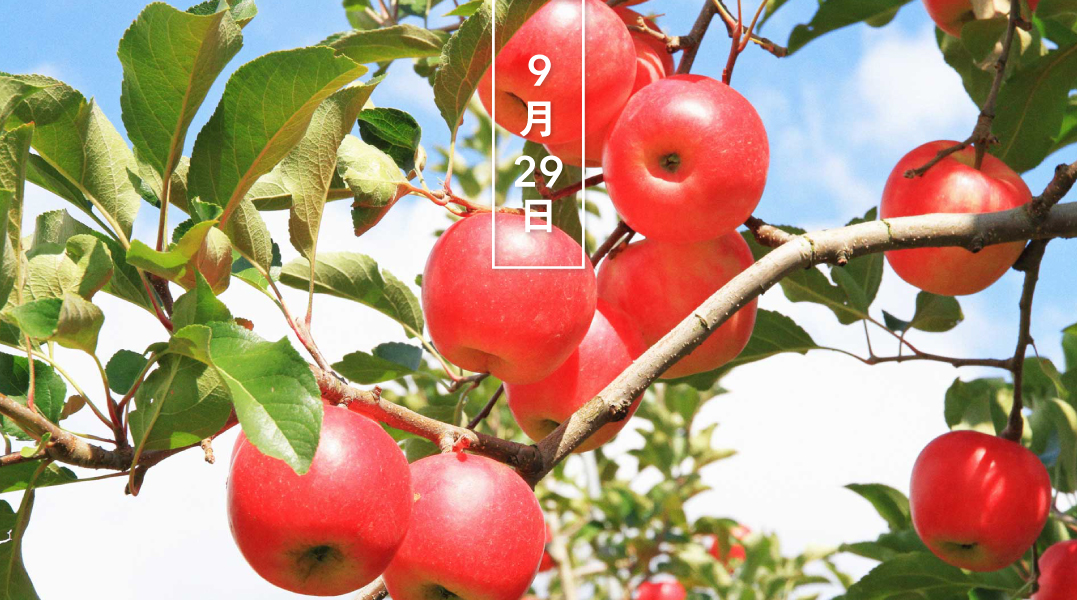 暦生活 こよみせいかつ リンゴ 林檎 実 花の日めくり 花言葉 誘惑 古代から栽培され 多くの神話に登場します 旧約聖書のアダムとイブの話が有名で 蛇に誘惑され禁断の果実のリンゴを食べた二人は 楽園を追放されました 暦生活 T 暦生活 こよみせいかつ リンゴ 林檎 実 花の日めくり 花言葉 誘惑 古代から栽培され 多くの神話に登場します 旧約聖書のアダムとイブの話が有名で 蛇に誘惑され禁断の果実のリンゴを食べた二人は 楽園を追放されました 暦生活 T