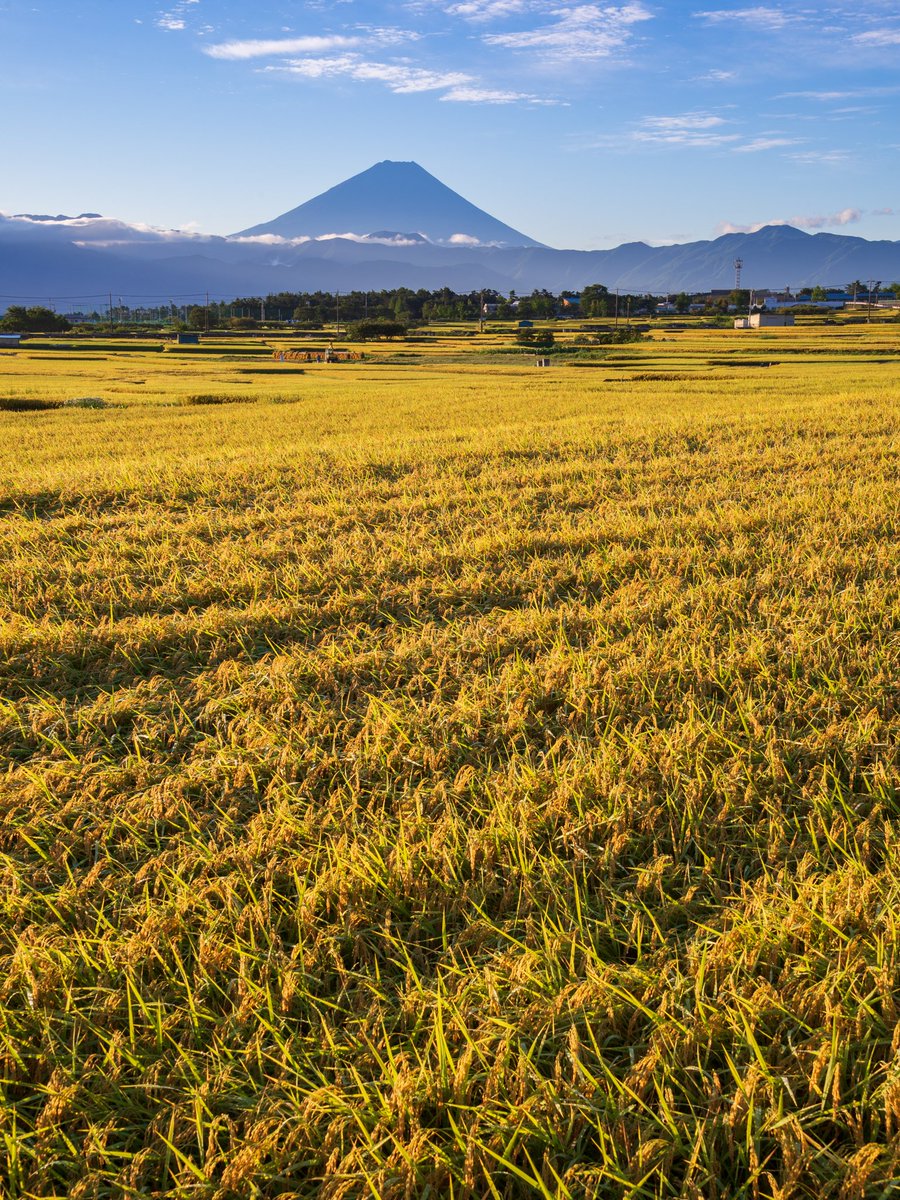 消滅したアイソン彗星と富士山 13年11月 二度と撮れない写真を貼れ 富士山pic Twitter Com Pfpi1g Kazuyuki Matsui