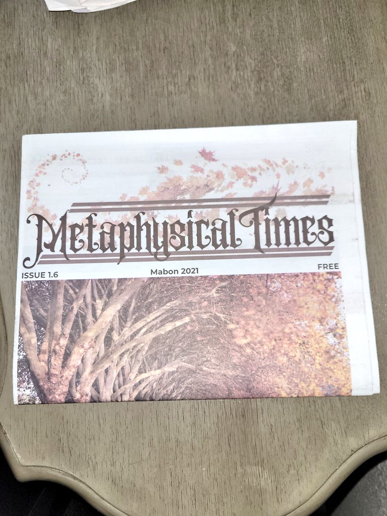 Metaphysical Times tweet media