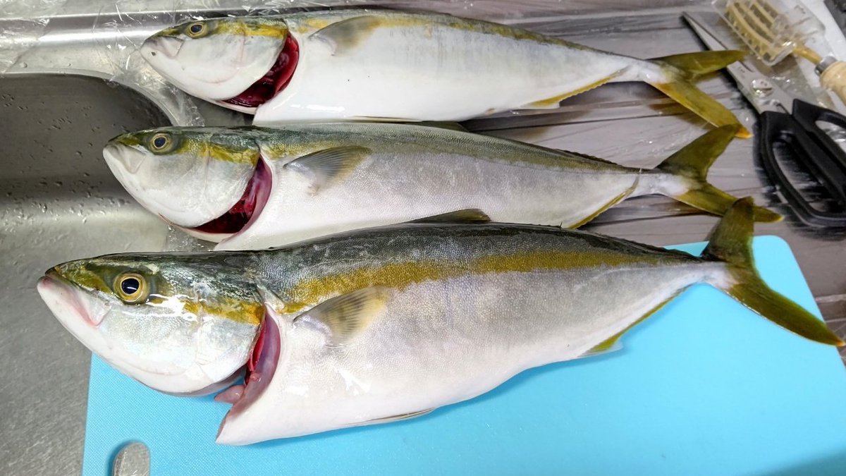 つばすさん

(個展2開催おめでとうございます!)
#つばす展 