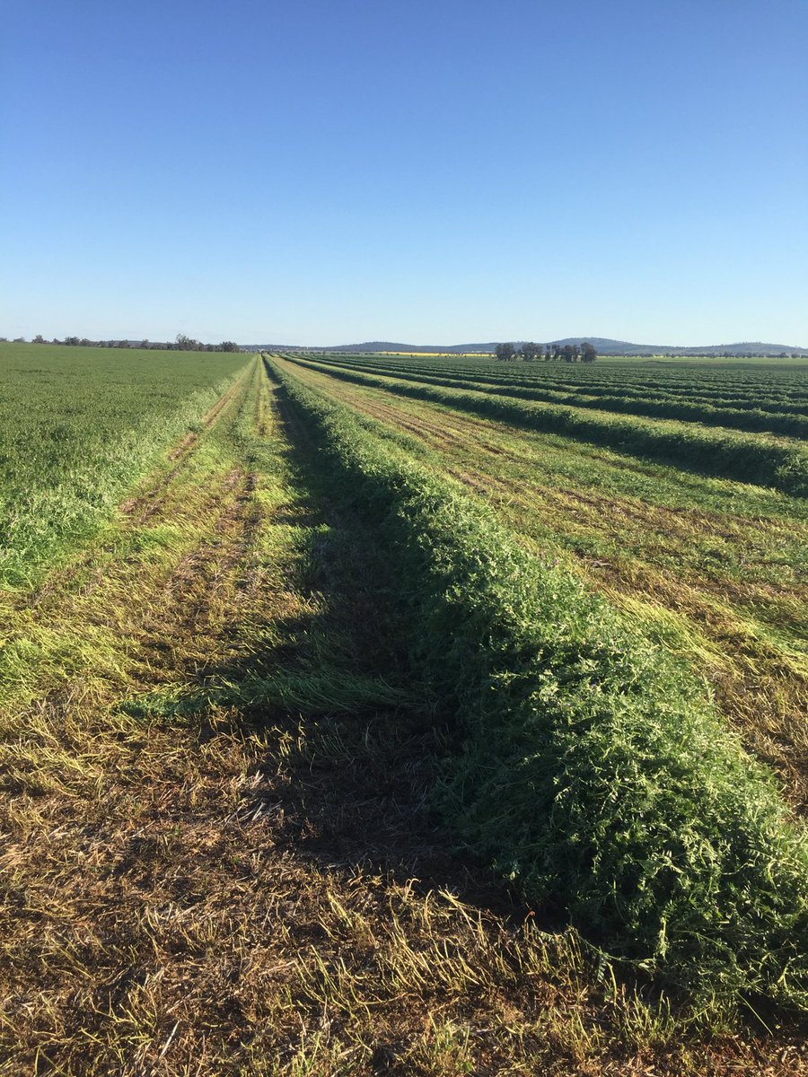 Adam Bird tweet media