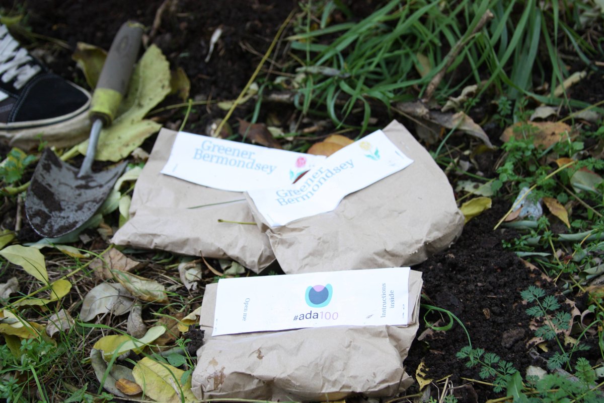 Tulips are packaged, labelled and ready to be collected. We'll see you <a href="/BermondsStFest/">Bermondsey St Fest</a> on Saturday 18th, 10-5 to collect your bag. Planting on 31st Oct. Well be at the top end, just across from <a href="/Chapter_72/">Chapter 72</a> coffee house. Your tulips will flower in time to celebrate #Ada100 #Share