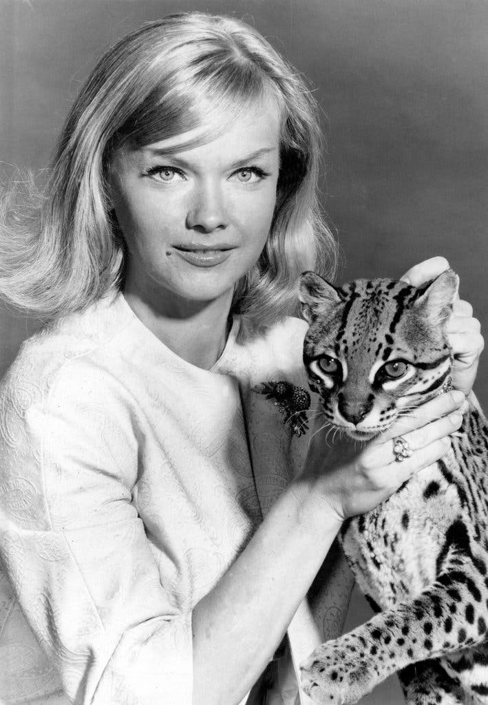 Good afternoon! Happy Birthday, Anne Francis! 