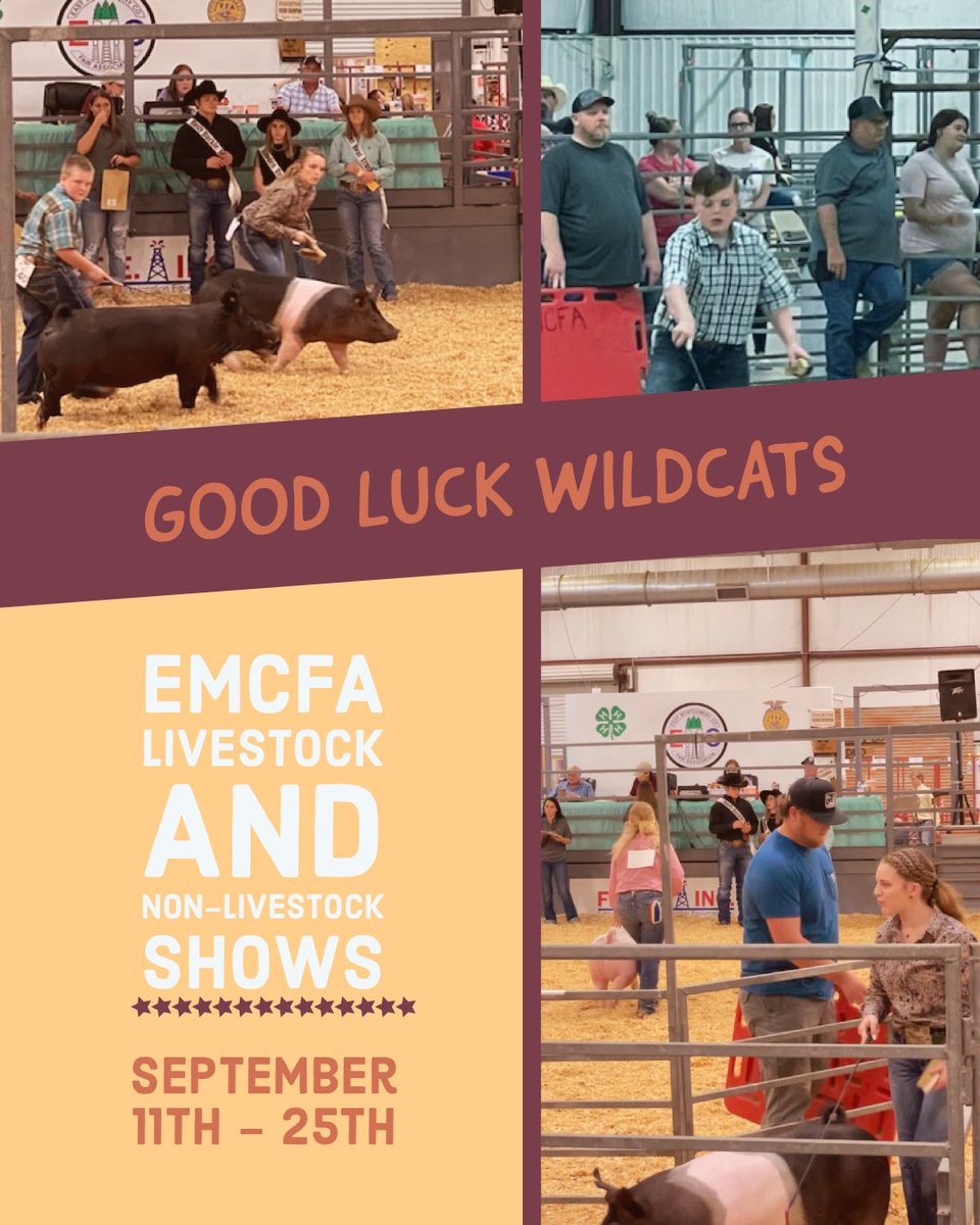 PWE_Splendora's tweet photo. This week Splendora ISD students will compete in the EMCFA Livestock and Non-livestock Shows. Good luck to all and have fun exhibiting your hard work. #MyPWE https://t.co/B3UllmGVTm