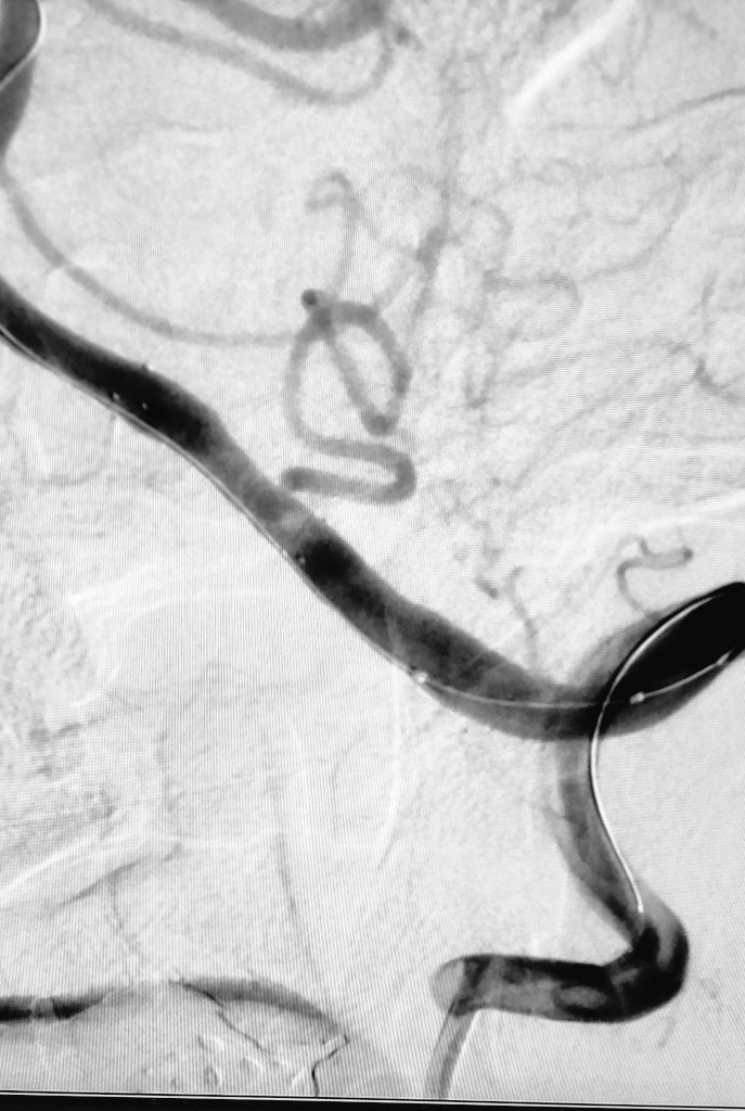 Federico Zarco (@federicozarco) on Twitter photo 