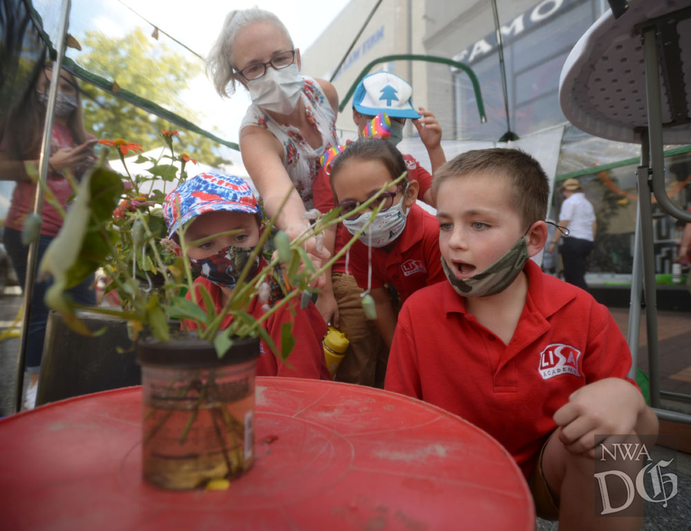 NWADemGazPhotos's tweet photo. The @DTSpringdale has turned a parking space on Emma Avenue into a Monarch Park as a part of the international Park(ing) Day effort. Visitors can learn about monarch butterflies from 9 a.m. to noon on Friday with a butterfly release at noon. https://t.co/SA6EfXX7Dr