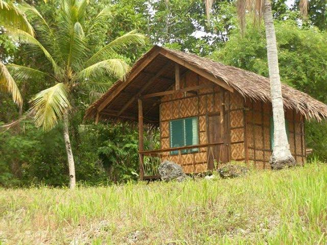Whare - Aotearoa
Bale, balay - The Philippines
House

#tewikiotereomāori
#reoMāori
#Austronesia 
🌊🌀💙