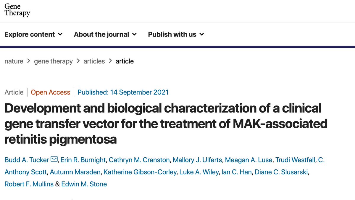 Budd A. Tucker (@stemcellseh) on Twitter photo Happy to announce that our paper describing low cost production and testing of a clinical grade gene therapy vector for the treatment of patients with MAK-associated retinitis pigmentosa has been published <a href="/GeneTherapy_SN/">Gene Therapy</a> #GeneTherapy #stemcells #IRD Happy to announce that our paper describing low cost production and testing of a clinical grade gene therapy vector for the treatment of patients with MAK-associated retinitis pigmentosa has been published <a href="/GeneTherapy_SN/">Gene Therapy</a> #GeneTherapy #stemcells #IRD