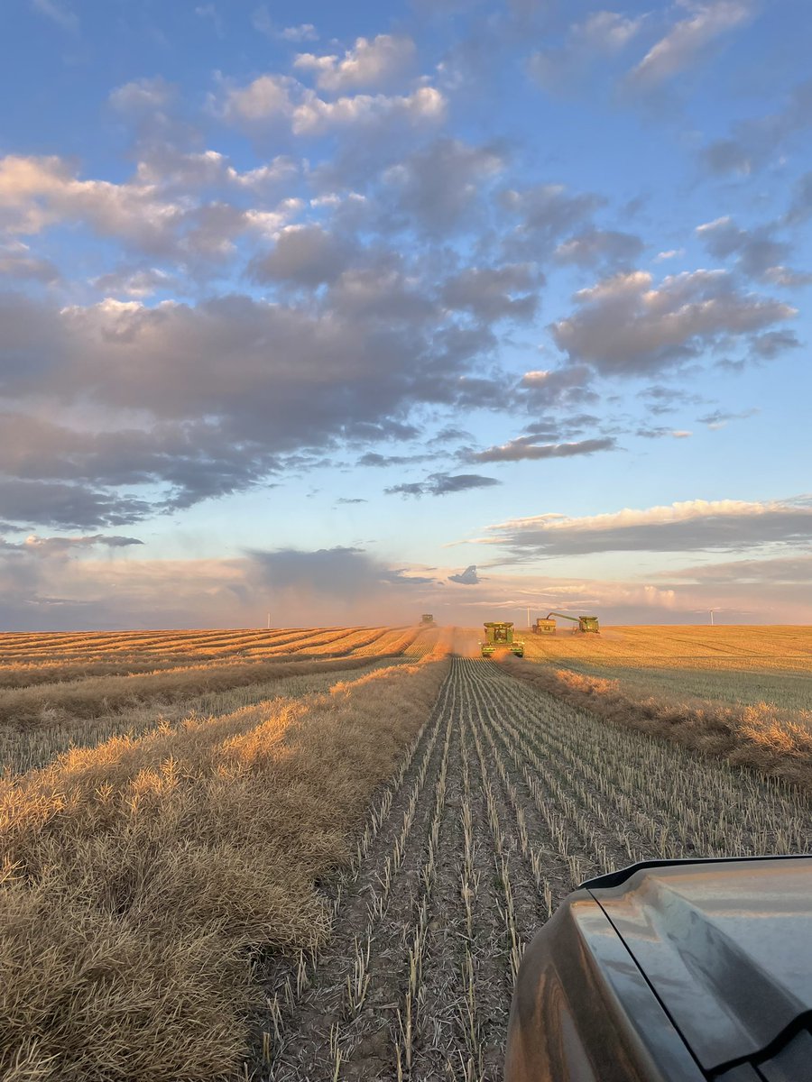 Wheats pretty much wrapped up! Working on canola now! #harvest21