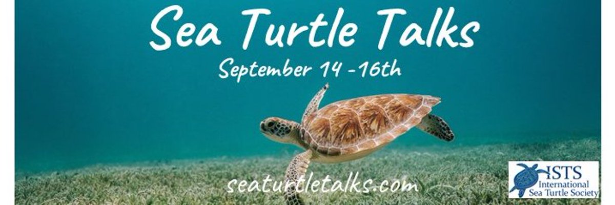 daniela freggi (@freggiturtle) on Twitter photo 