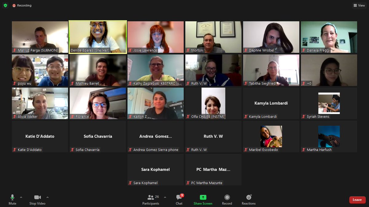 FreggiTurtle's tweet image. Sea Turtle Talks: Rehabilitation Chat focusing topics to develop in the next Medicine and Rehab Workshop held during ISTS40 (25 march 2022)!