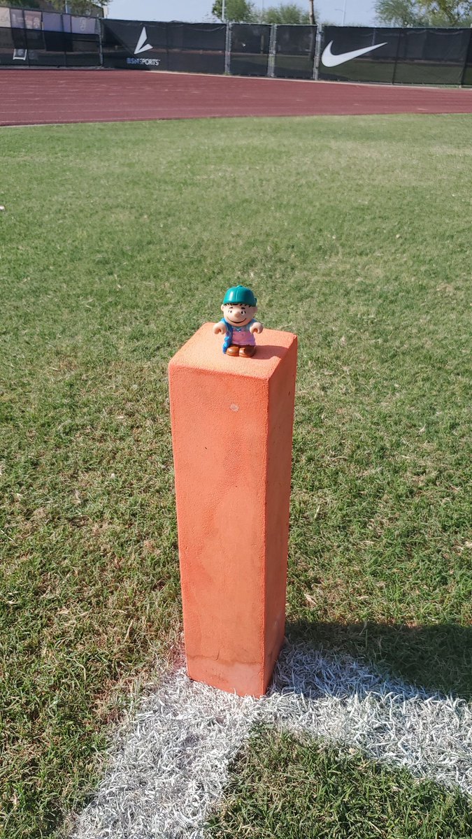 Shawn Gloden tweet media