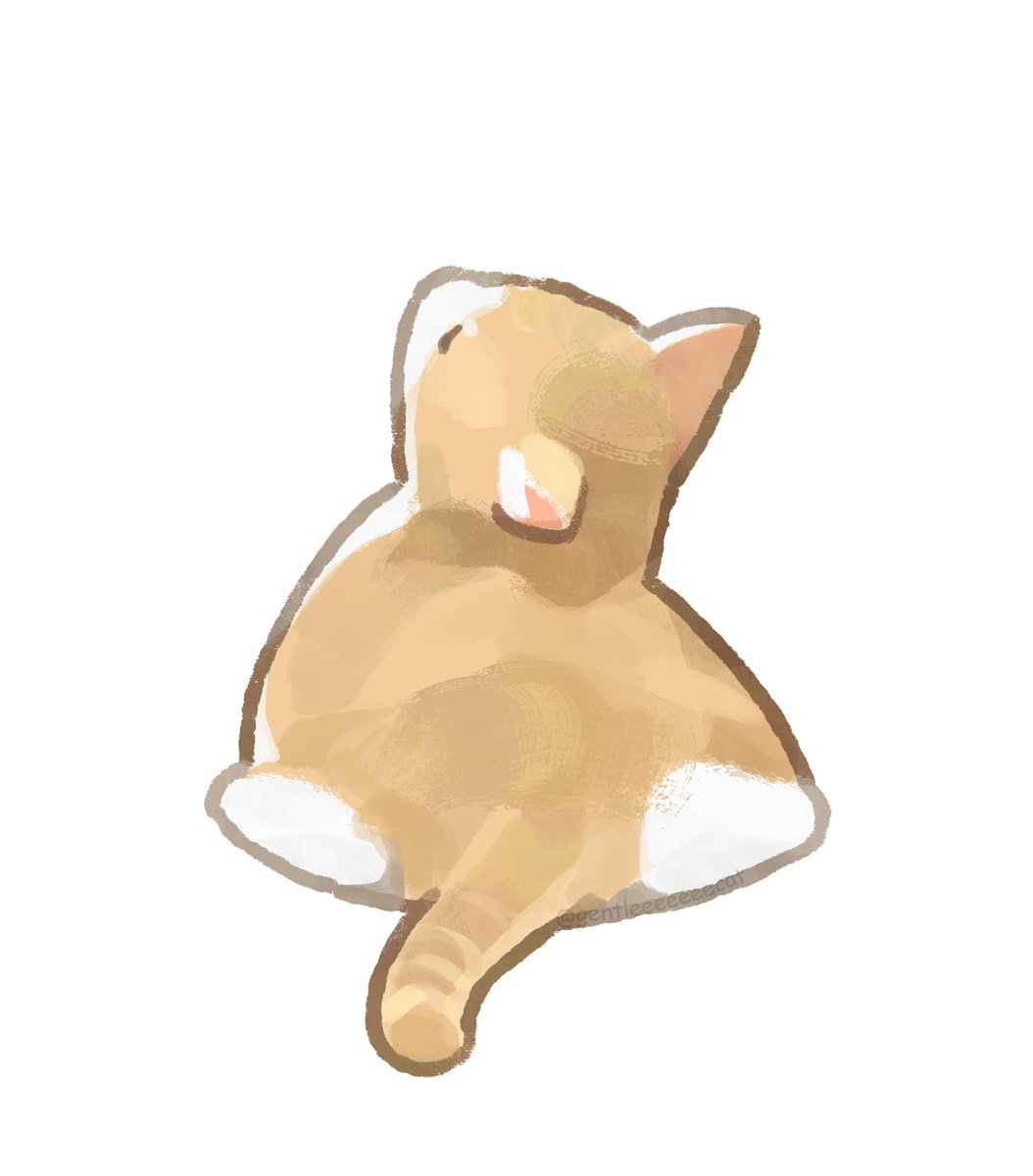 gentleeeeeeecat's tweet photo. pancake https://t.co/WWujRTj65B