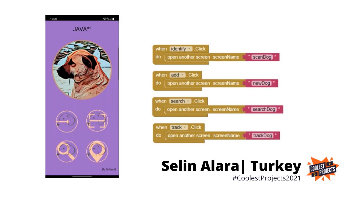 CoolestProjects's tweet photo. Selin Alara from Turkey created this incredible project with advanced programming. #NationalCodingWeek

JAVA⁰¹ is a dog tracking app for stray dogs.😍📱🐕

It was created using @MITAppInventor &amp; @Firebase. Great work!

See Selin's project &amp; more: https://t.co/L7rg3nEFF3 https://t.co/b0ZhzePvTJ