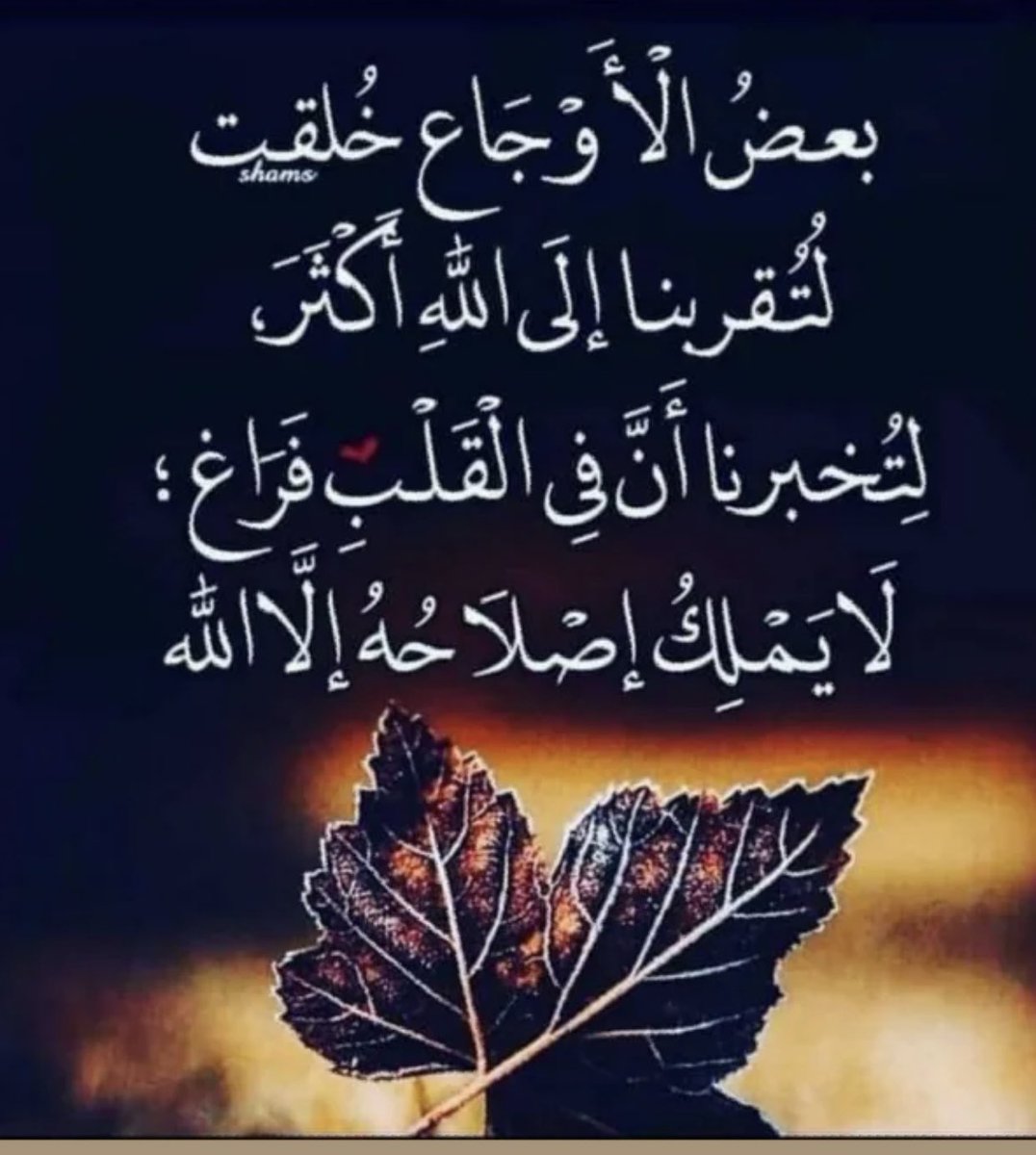 الدوسرية (@perfect_mesho) on Twitter photo  الدوسرية (@perfect_mesho) on Twitter photo