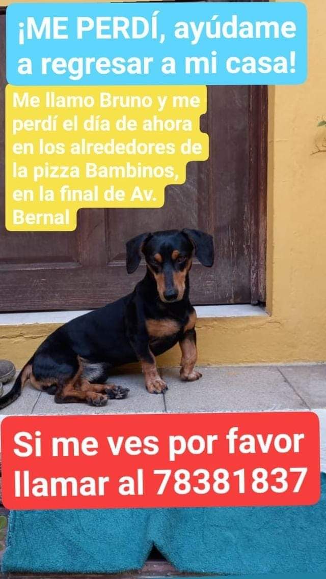 kityguzman's tweet photo. @Beryz10 @lamanadadepick nos ayudan a difundir por favor. Gracias https://t.co/vSh7xt1YHD