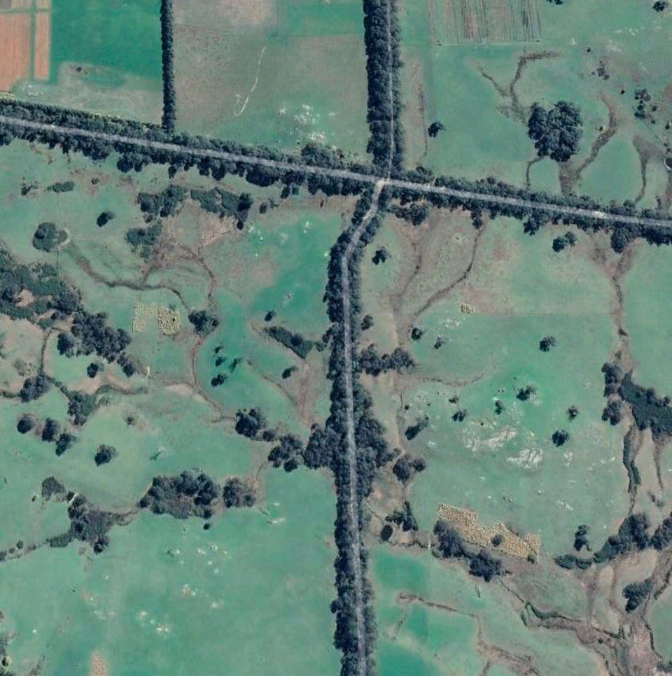 Megan Evans (@megcevans) on Twitter photo The NSW government now allows 25m of vegetation to be cleared along fence lines - without approval. The image below illustrates why this is a disaster for #biodiversity 👇Read more in <a href="/ConversationEDU/">The Conversation - Australia + New Zealand</a> 👉theconversation.com/amp/destroying… The NSW government now allows 25m of vegetation to be cleared along fence lines - without approval. The image below illustrates why this is a disaster for #biodiversity 👇Read more in <a href="/ConversationEDU/">The Conversation - Australia + New Zealand</a> 👉theconversation.com/amp/destroying…