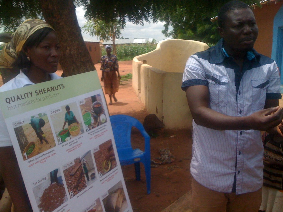 PeaceforlifeG's tweet photo. Training of women on premium quality Shea nuts processing techniques  for higher butter yields and higher income. https://t.co/E5cIAXqOEv