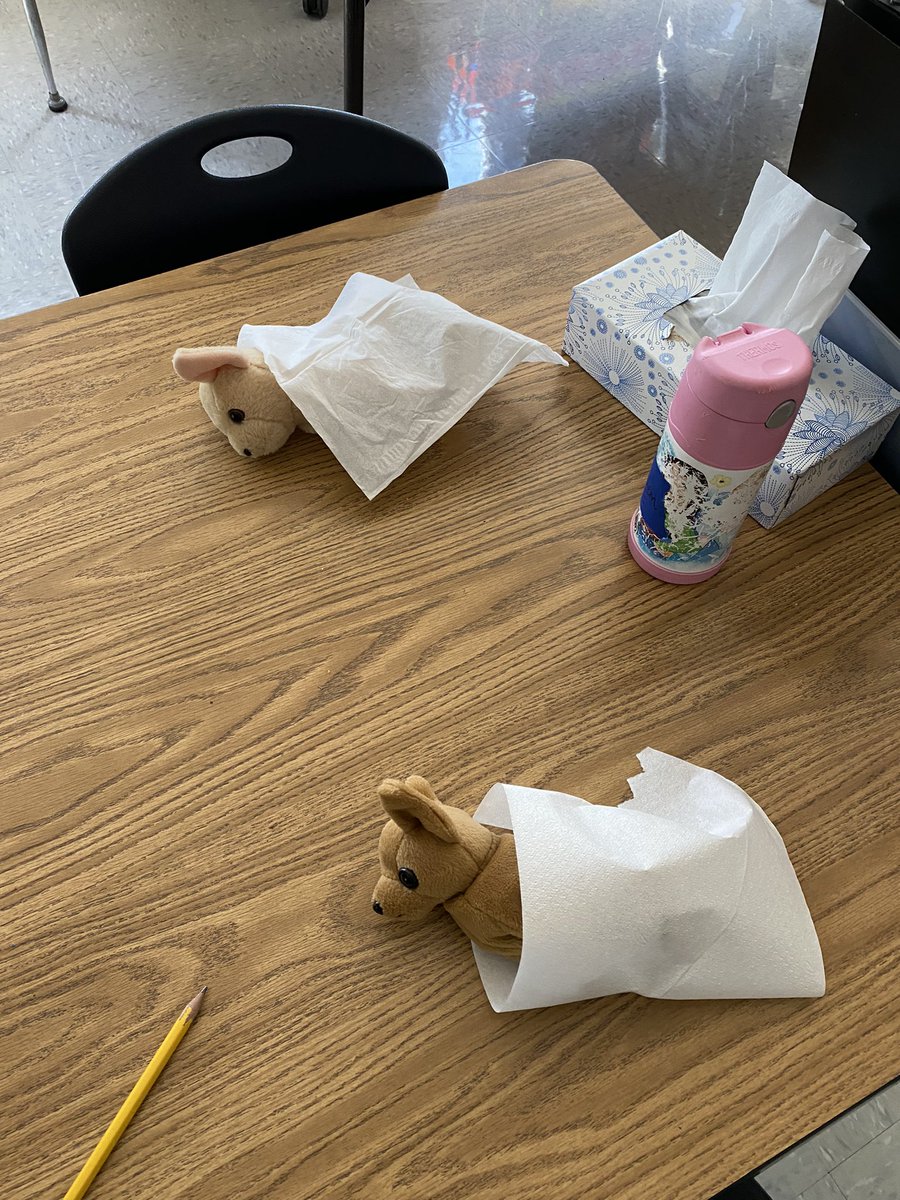 Stuffed animal and pj day today! My kids are so caring..tucking their animals in for a nap while gone at lunch! ☺️