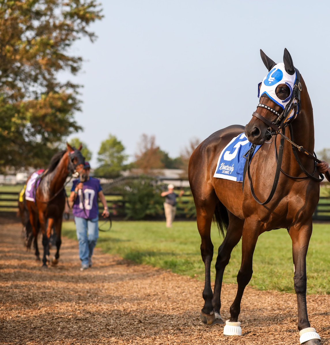 My favorite princess, the classy daughter of Bernardini, Micheline.