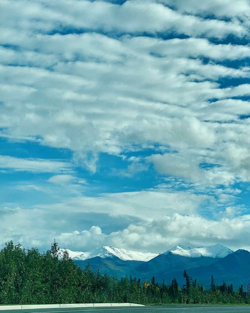 mikkomix's tweet photo. Snow slowly making its way down. Winter is coming, and I suppose I really just timed everything perfectly. 🥶❄️ #myalaskathings https://t.co/RUK3ne77Zk https://t.co/ELUpPNyKlr