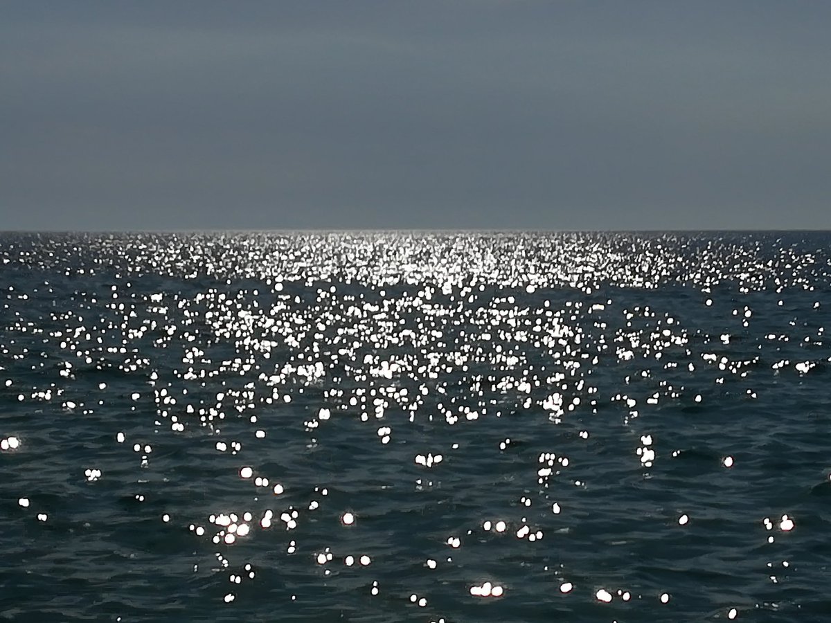 GLatagliata's tweet photo. It's not a thought
It's not like the result, victory or defeat, no
Not a memory
Unique, divergent, and unexplained, blurry, it's obvious, sure, through you

#Sea #Light #Time #Perception #MarvelousLife https://t.co/k6SryRK6Ii