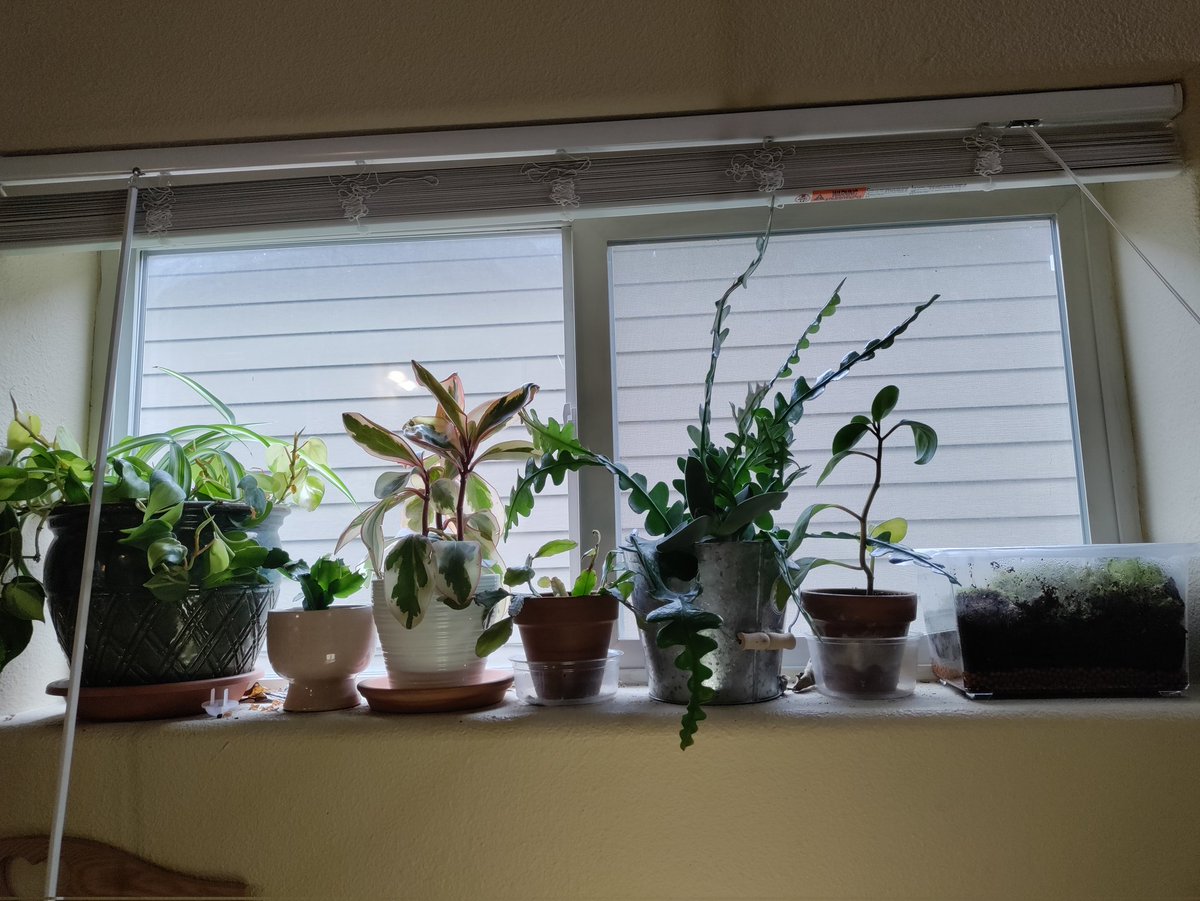 GSnake88's tweet photo. Been a fat minute since I've been here. Here's some of what I've been up to... https://t.co/ce1MyPJLh2