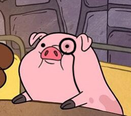 Little Dude Of The Day tweet media