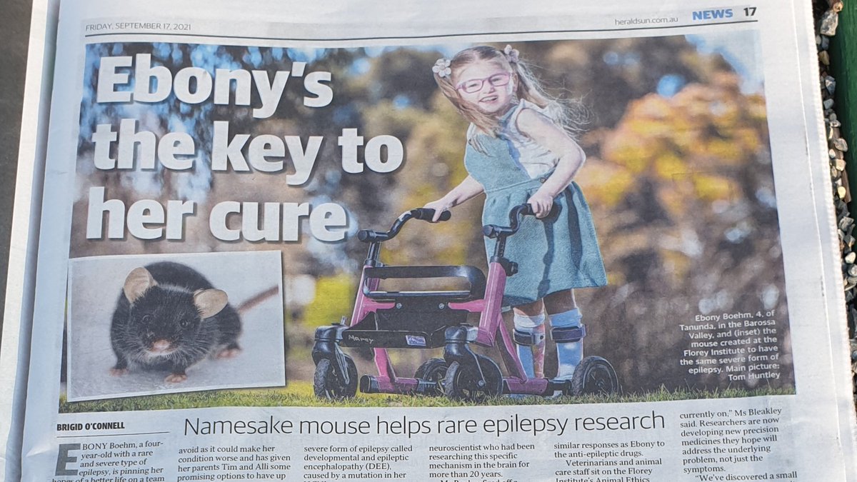 The Florey tweet media