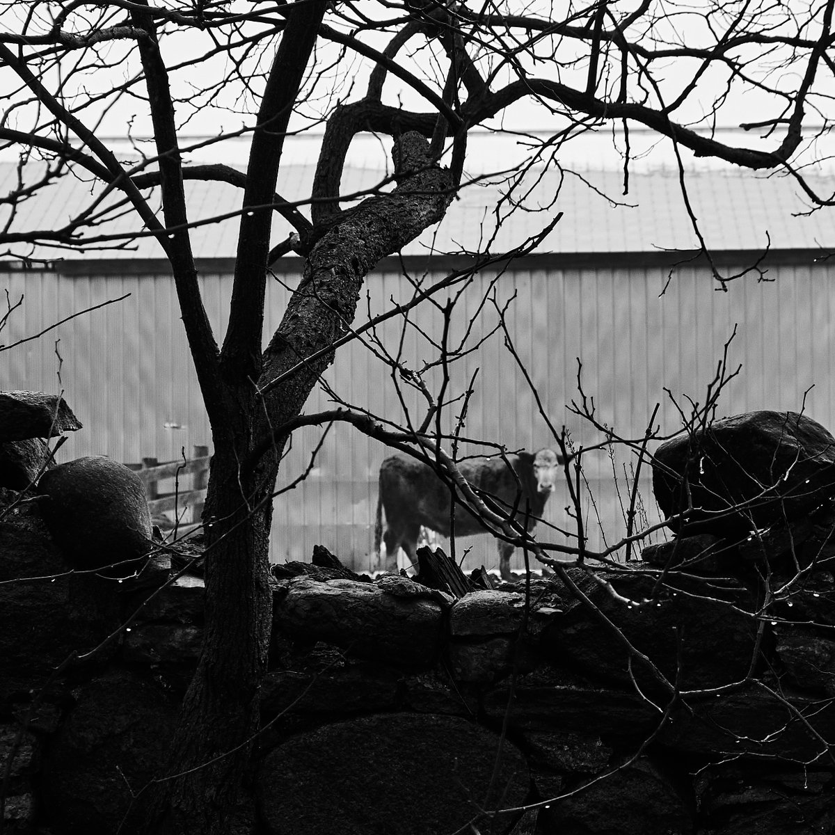 Christopher Bailey tweet media