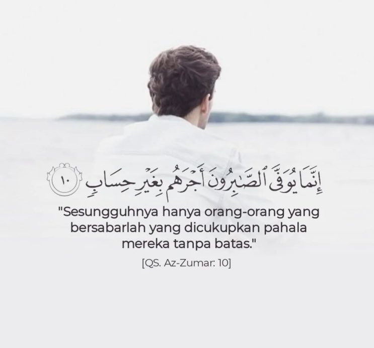 daynafasa tweet media