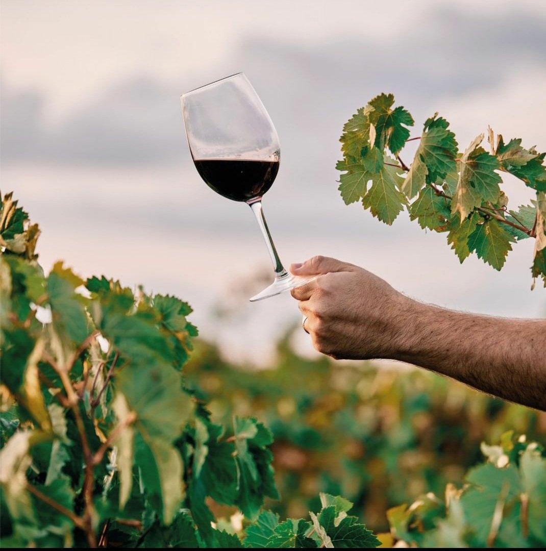 mendoza_tur's tweet photo. BEST OF MENDOZA'S WINE TOURISM 2022🍷
Ganadores en categoría Experiencias Innovadoras en Turismo del Vino
🥈PLATA @wineobs https://t.co/SXS77q7p3W